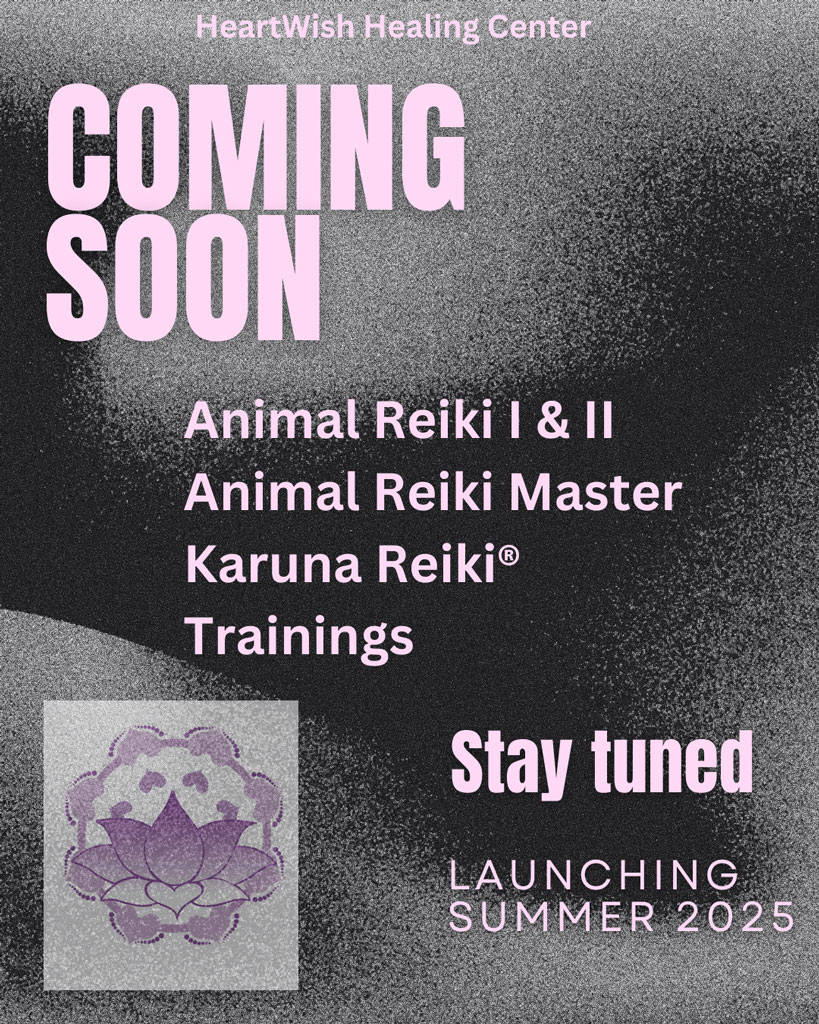 Coming soon! Reiki Trainings